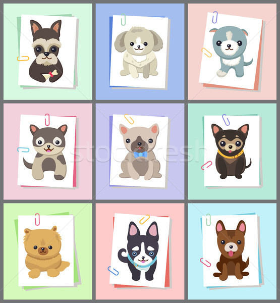 Puppies and Dogs Poster Set Vector Illustration Stock photo © robuart