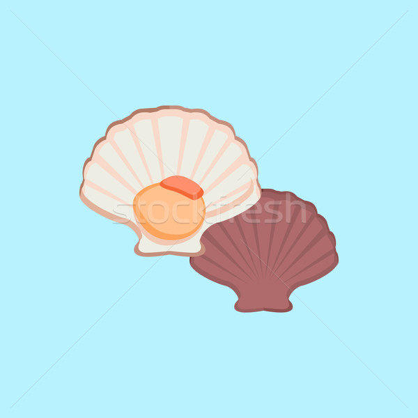 Stock photo: Oysters Vector Illustration