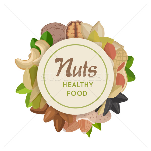 Nuts Healthy Food Concept Vector in Flat Design. Stock photo © robuart
