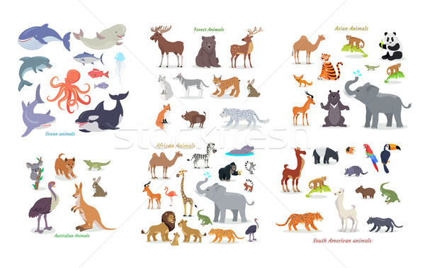 Ocean, Forest, Asian, Australian, African, Animals Stock photo © robuart
