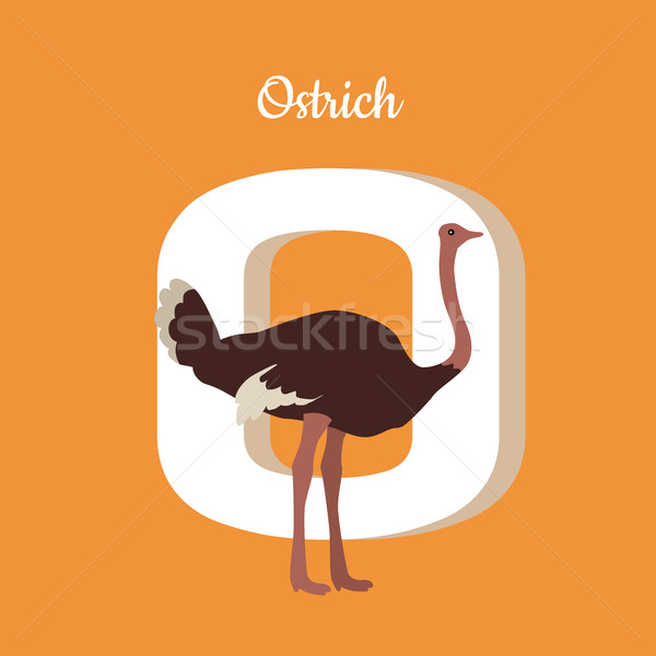 Animals Alphabet. Letter - O Stock photo © robuart