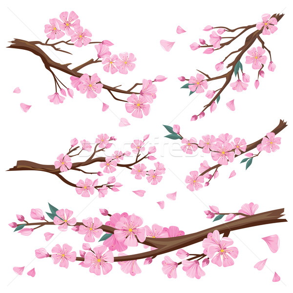 Realistic Sakura Japan Cherry Branch Stock photo © robuart