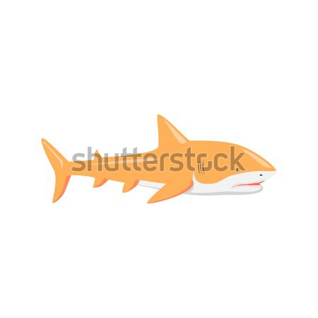 Deniz yırtıcı hayvan köpekbalığı dizayn tehlikeli kuyruk Stok fotoğraf © robuart