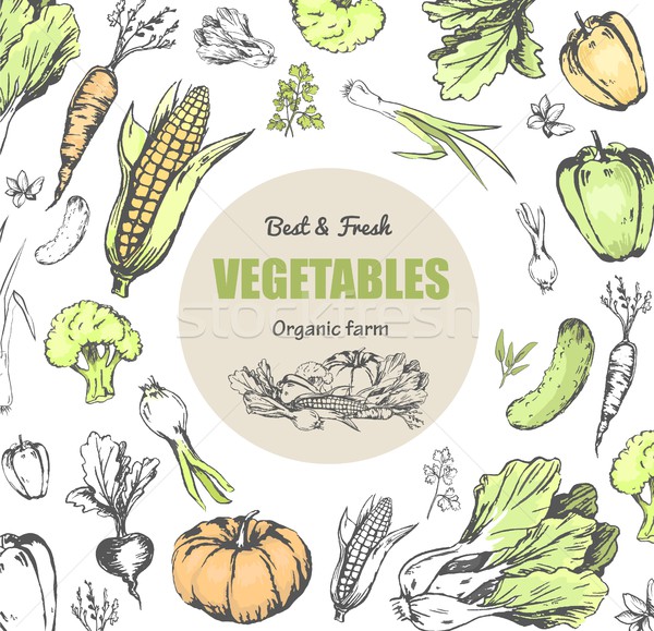 Сток-фото: лучший · свежие · овощи · органический · фермы · плакат · зрелый