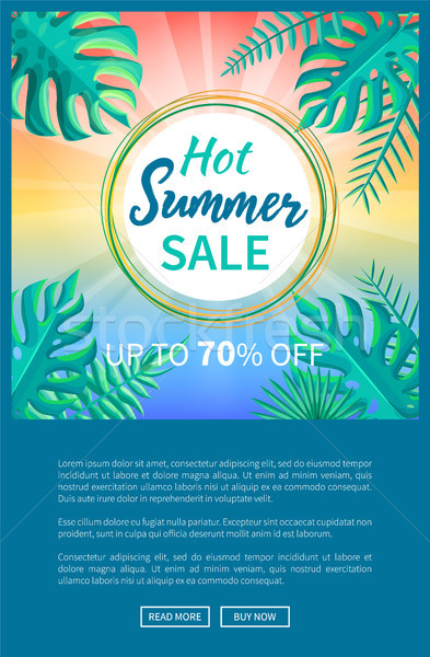 Hot Summer Sale Poster Up to 70 Off Banner Frame Stock photo © robuart