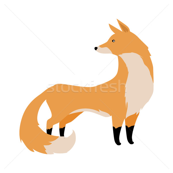 Fox Vector Illustration in Flat Design Stock photo © robuart