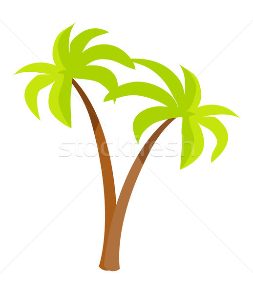 Palm Trees with Green Leaves and Trunk, Palm Icons Stock photo © robuart