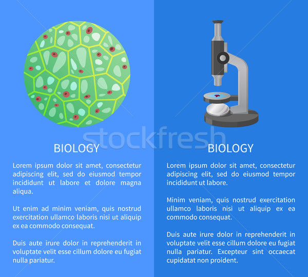 [[stock_photo]]: Biologie · affiche · cellule · microscope · appareil · vecteur
