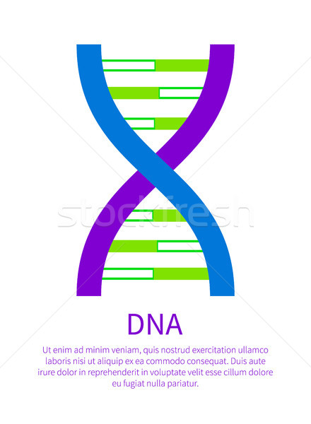 Dna menselijke individueel genetisch code genoom Stockfoto © robuart