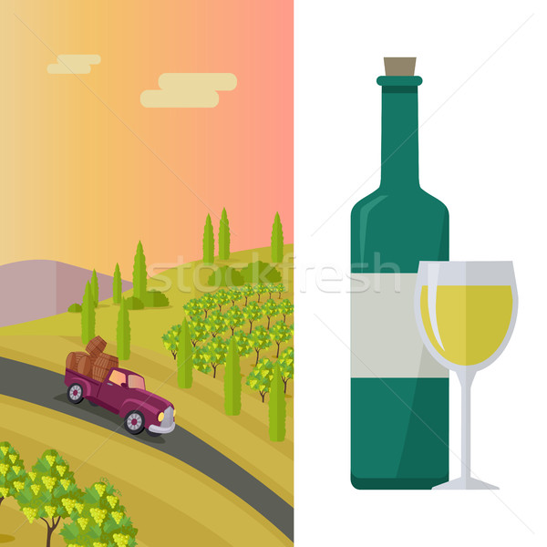 Wine Production Banner. Poster for White Vine. Stock photo © robuart