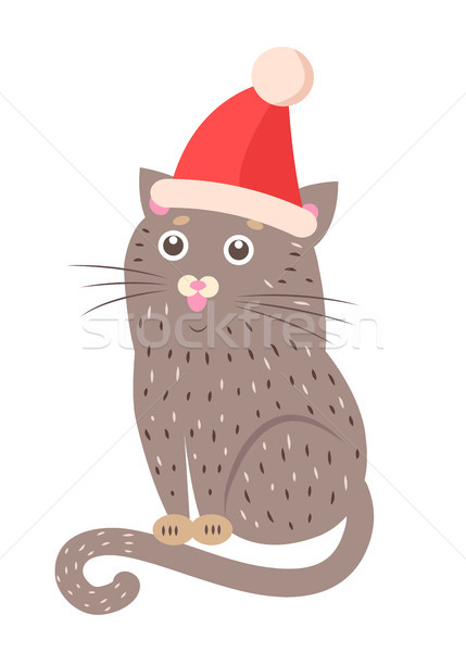 クローズアップ 面白い 猫 帽子 赤 頭 ストックフォト © robuart