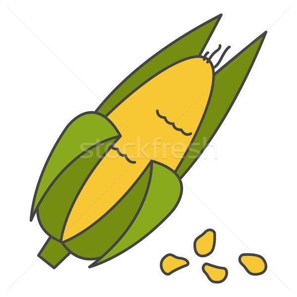 Corn Cob in Husk Flat Vector Icon Stock photo © robuart