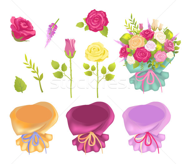 Set of Flowers and Wrapping Vector Illustration Stock photo © robuart