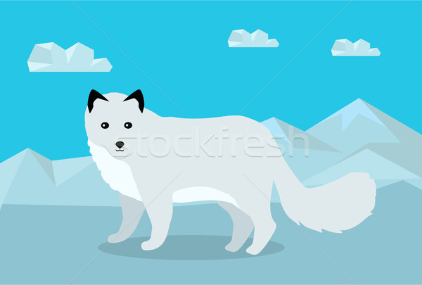 Polar Fox Vector Illustration in Flat Design Stock photo © robuart
