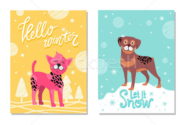 Hello tél hó plakátok kiskutyák kínai Stock fotó © robuart