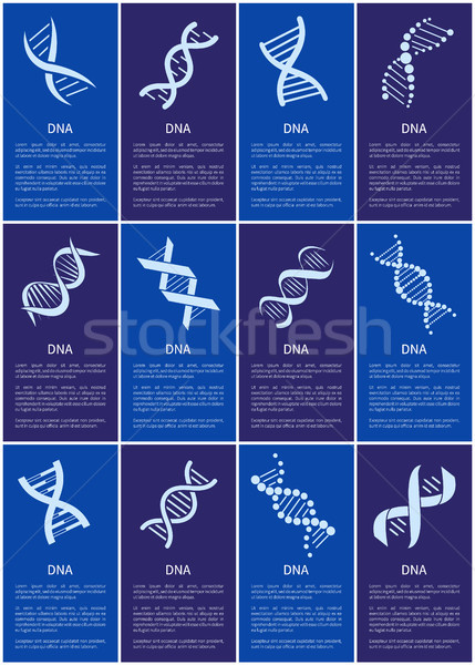 DNA Set of White Spirals Isolated on Blue Backdrop Stock photo © robuart