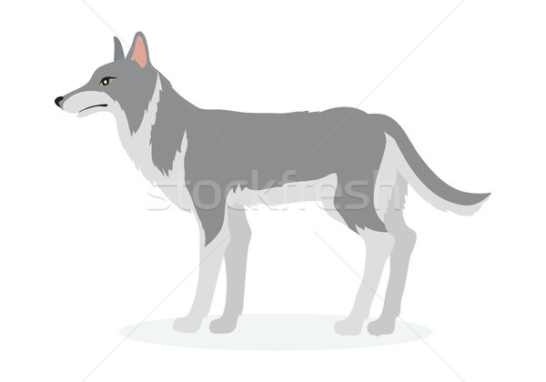 Wolf Cartoon Vector Illustration in Flat Design Stock photo © robuart