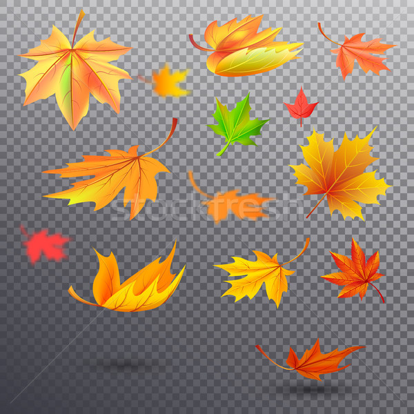 Bright Autumn Fallen Maple Leaves Illustrations Stock photo © robuart