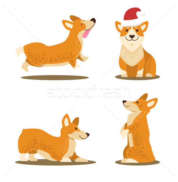 Corgi Dog Set of Four Icons Vector Illustration Stock photo © robuart