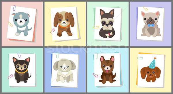 Puppies and Dogs Poster Set Vector Illustration Stock photo © robuart