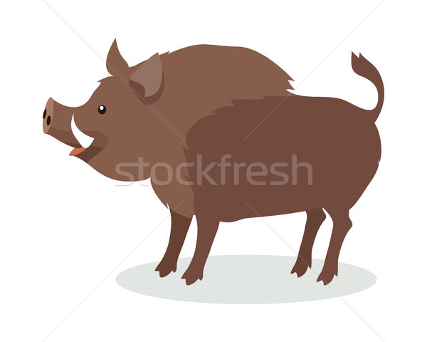 Wild Boar Cartoon Flat Vector Illustration Stock photo © robuart