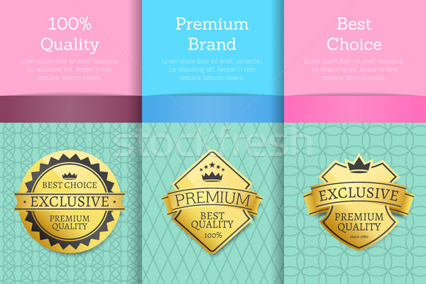 100 Guarantee Premium Brand Best Choice Set Poster Stock photo © robuart