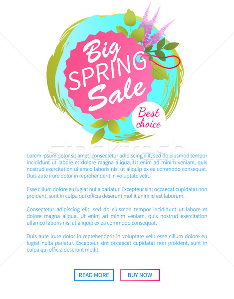 Big Spring Sale Web Poster Best Choice Advert Stock photo © robuart