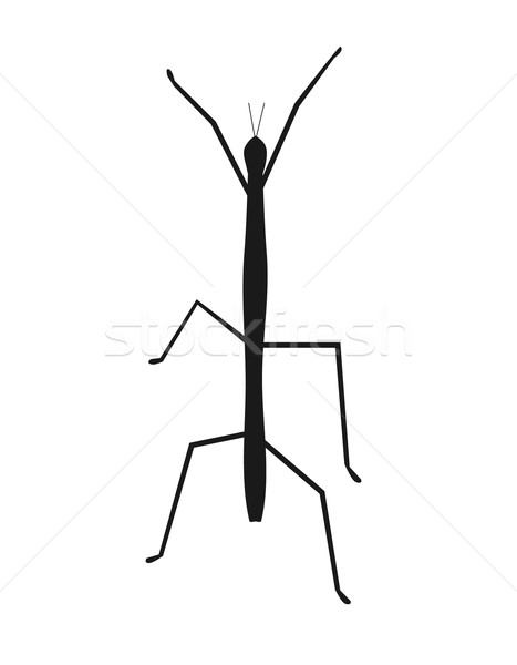 Stick Insect or Phasmids Icon Stock photo © robuart