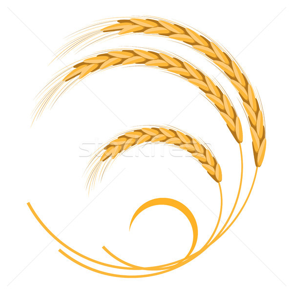 Golden Weizen Ohren Form isoliert weiß Stock foto © robuart