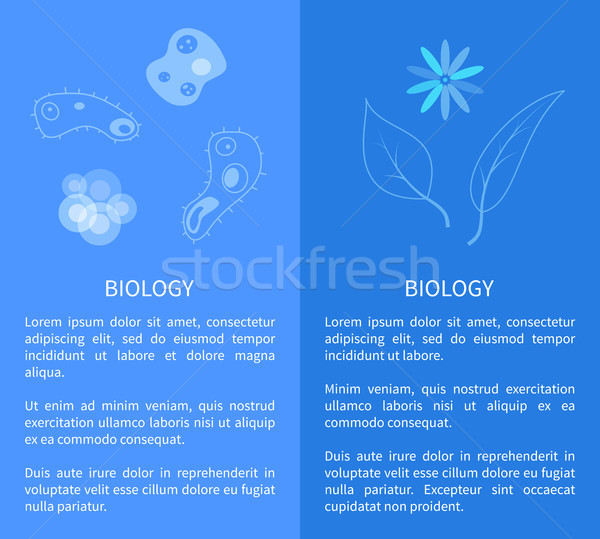 Biology Poster with Micro Cell Organisms, Plant Stock photo © robuart