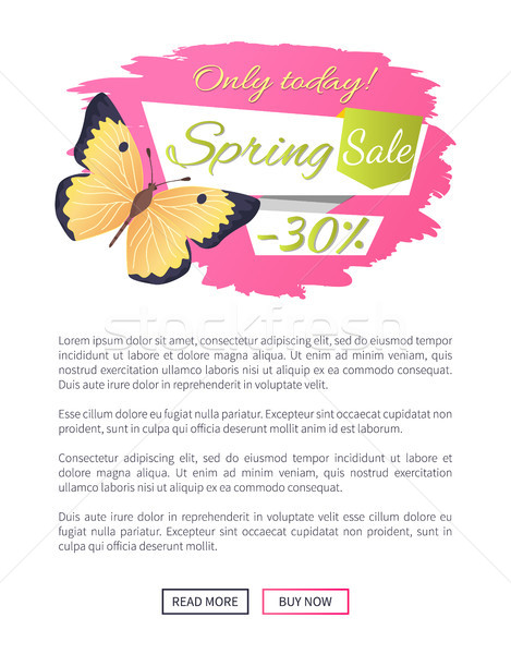 Big Sale Spring Discount Offer Label Butterfly Stock photo © robuart