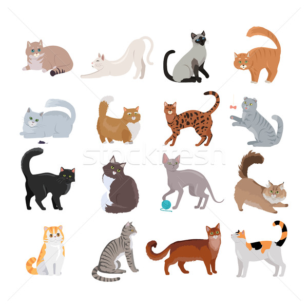 Set of Icons with Cats. Flat Design Vector. Stock photo © robuart
