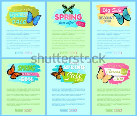 Transfer and Room Service Vector Illustration Stock photo © robuart