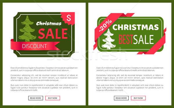 Two Best Christmas Sale Cards Vector Illustration Stock photo © robuart