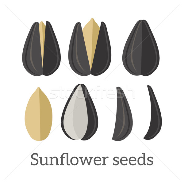Sunflower Seeds Vector Illustration in Flat Design Stock photo © robuart