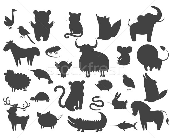 Szett rajzolt állat díszállat vad vektor díszállatok Stock fotó © robuart