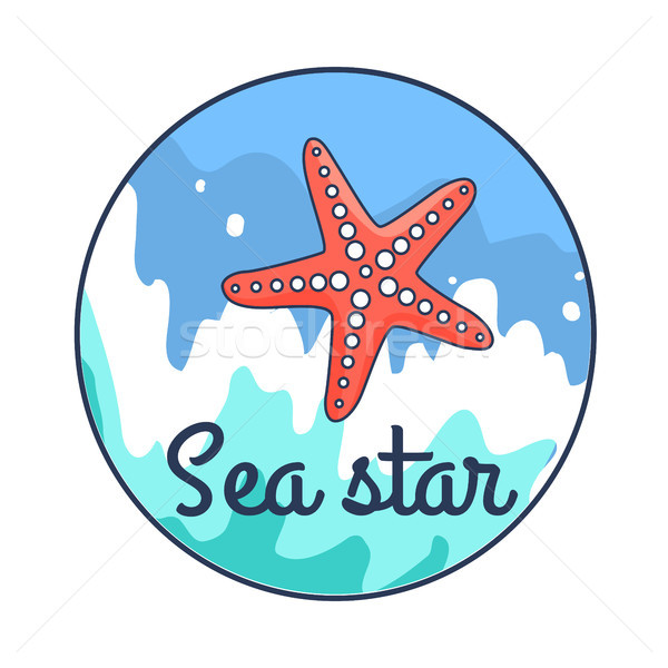 Poster deniz star su pembe mavi Stok fotoğraf © robuart