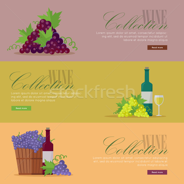 Set of Fliers for Elite Wine Collections. Stock photo © robuart