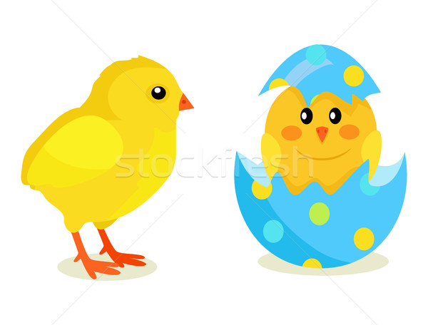 Chicken and Newborn Chick Hatch from Shell Vector Stock photo © robuart