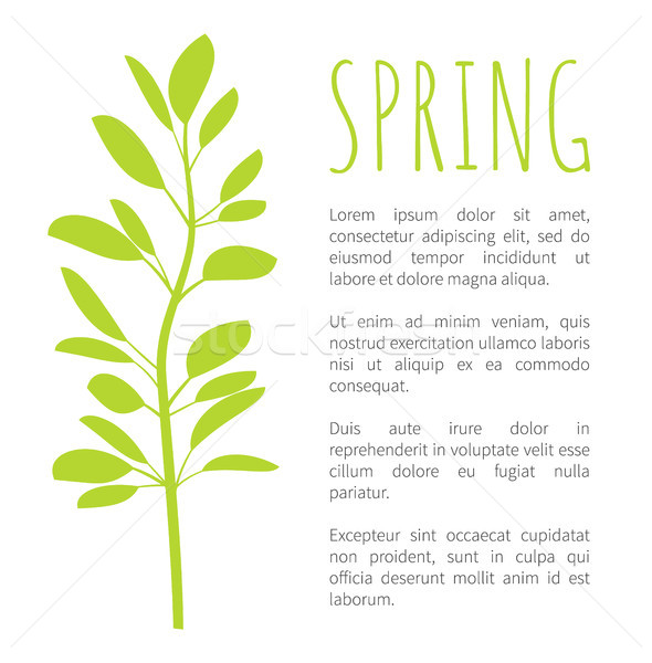 Spring Info Poster with Oval Leaves on Branch Stock photo © robuart