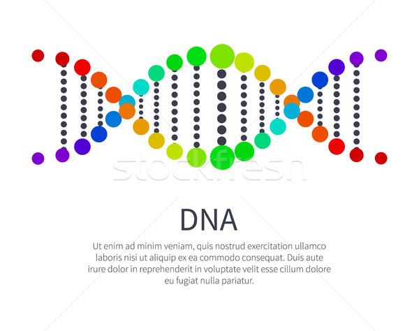 DNA Icon of Genetic Code, Deoxyribonucleic Acid Stock photo © robuart