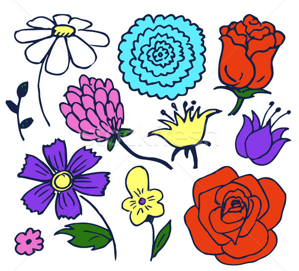 Pretty Color Flowers Aggregate Vector Illustration Stock photo © robuart