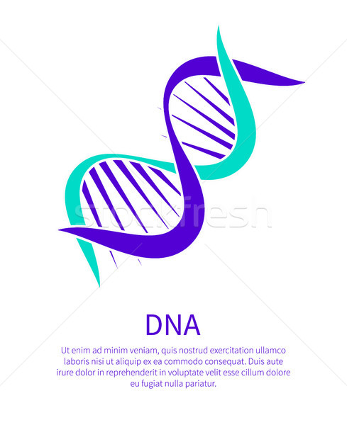 Stock photo: DNA Chain Informative Poster with Sample Text