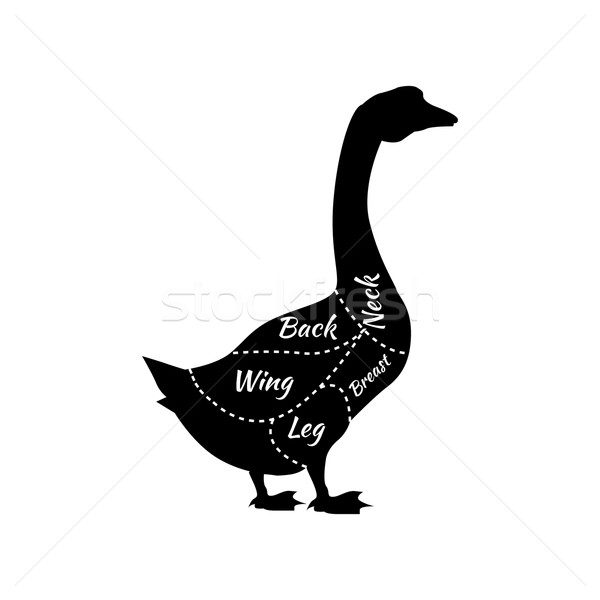 Typographic Goose Butcher Cuts Diagram Stock photo © robuart