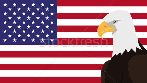 Chauve aigle design vecteur USA oiseau Photo stock © robuart