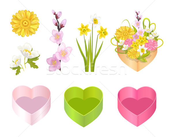 Foto stock: Flores · establecer · cajas · anunciante · corazón