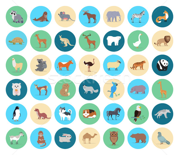 Huiselijk cirkels collectie wilde dieren vector Stockfoto © robuart