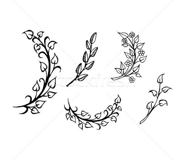 Set of Hand Drawn Branches Leaves in Heart Shape Stock photo © robuart