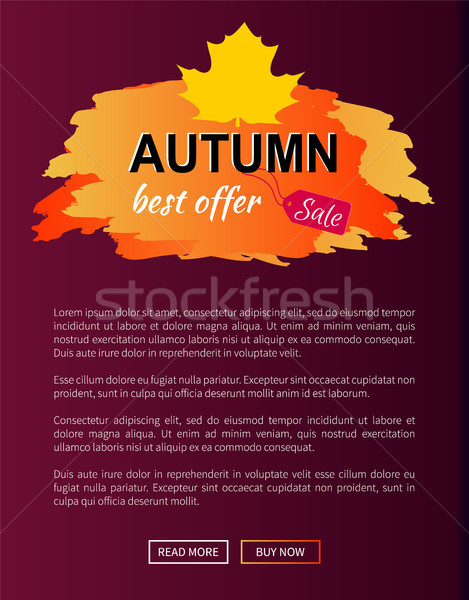 Best Offer Autumn Sale -35 Advert Promo Poster Stock photo © robuart