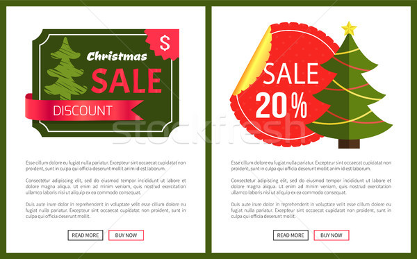 Two Best Christmas Sale Cards Vector Illustration Stock photo © robuart